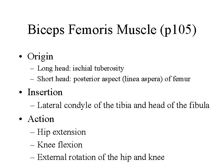 Biceps Femoris Muscle (p 105) • Origin – Long head: ischial tuberosity – Short