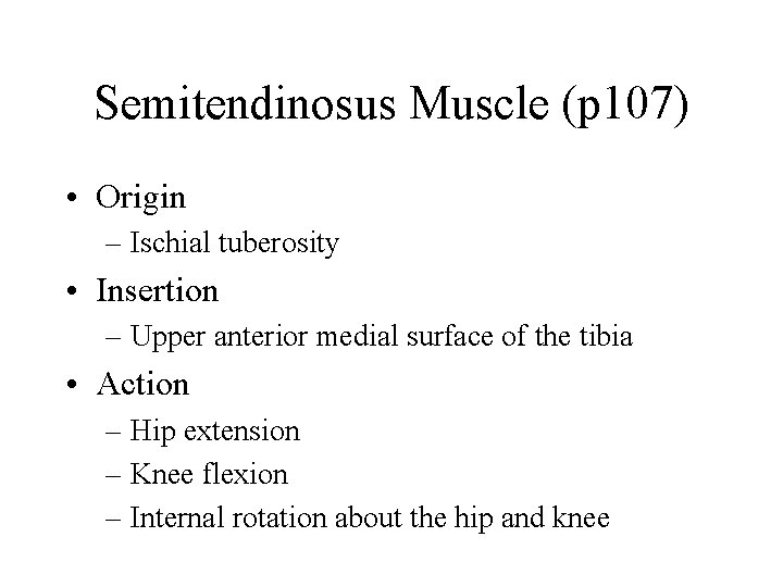 Semitendinosus Muscle (p 107) • Origin – Ischial tuberosity • Insertion – Upper anterior