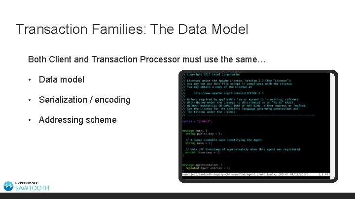 Transaction Families: The Data Model Both Client and Transaction Processor must use the same…