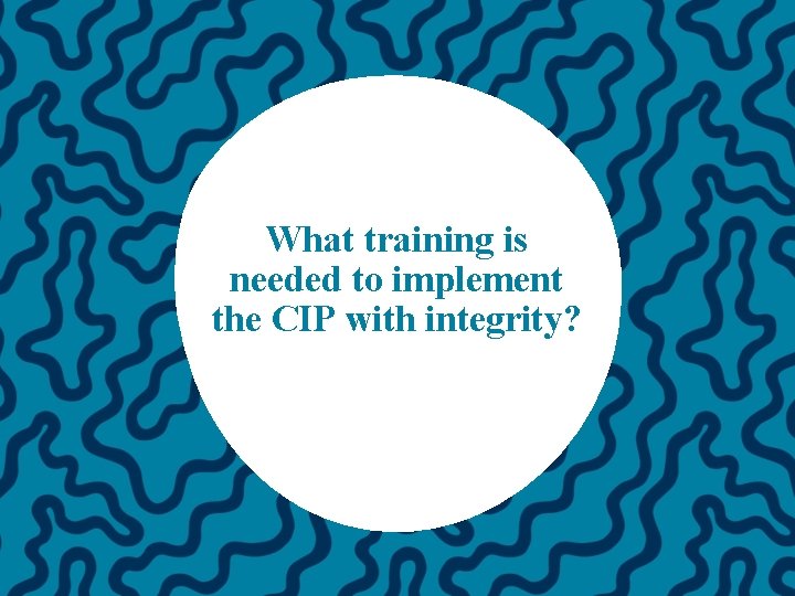 What training is needed to implement the CIP with integrity? 