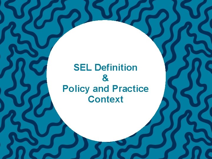 SEL Definition & Policy and Practice Context 