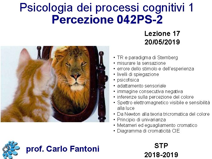 Psicologia dei processi cognitivi 1 Percezione 042 PS-2 Lezione 17 20/05/2019 • • •