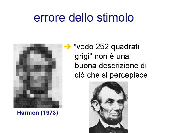 errore dello stimolo “vedo 252 quadrati grigi” non è una buona descrizione di ciò