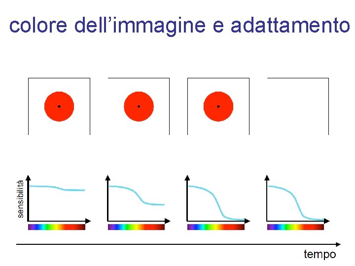 colore dell’immagine e adattamento 