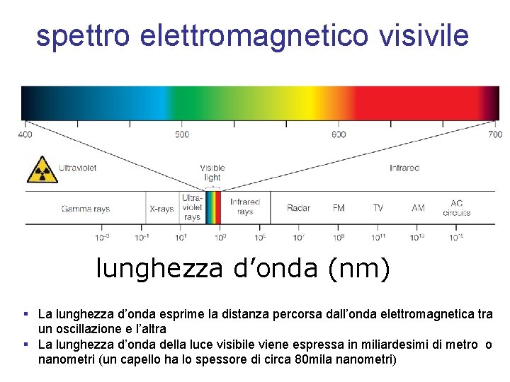 spettro elettromagnetico visivile lunghezza d’onda (nm) § La lunghezza d’onda esprime la distanza percorsa