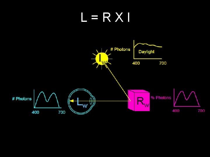 L=RXI 