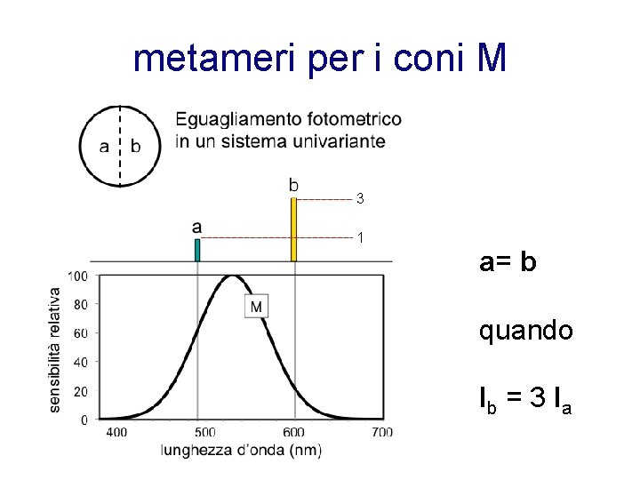 metameri per i coni M 3 1 a= b quando Ib = 3 Ia