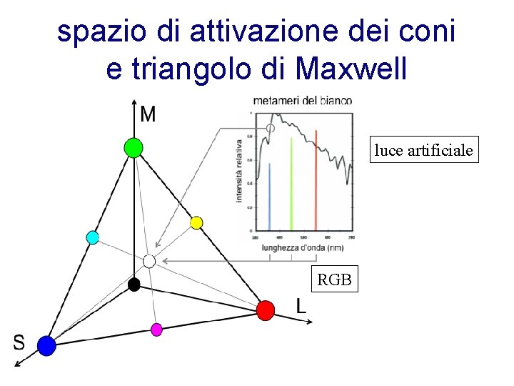 spazio di attivazione dei coni e triangolo di Maxwell luce artificiale RGB 