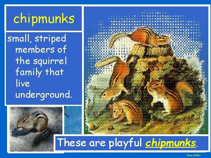 chipmunks small, striped members of the squirrel family that live underground. These are playful