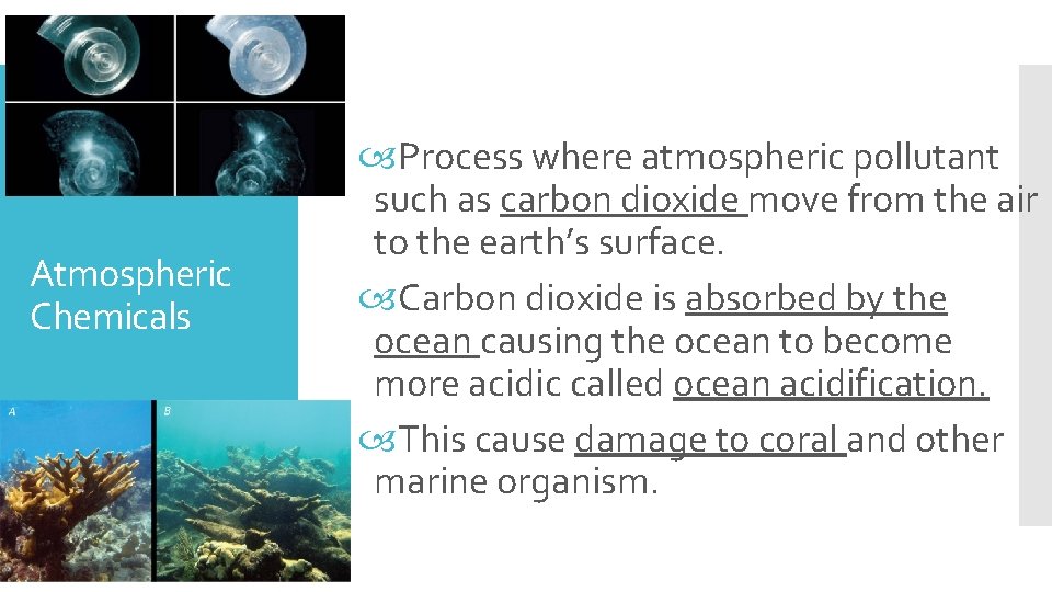 Atmospheric Chemicals Process where atmospheric pollutant such as carbon dioxide move from the air