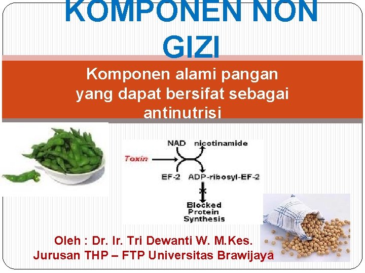 KOMPONEN NON GIZI Komponen alami pangan yang dapat bersifat sebagai antinutrisi Oleh : Dr.