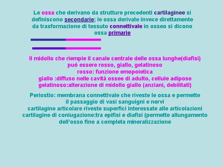 Le ossa che derivano da strutture precedenti cartilaginee si definiscono secondarie; le ossa derivate