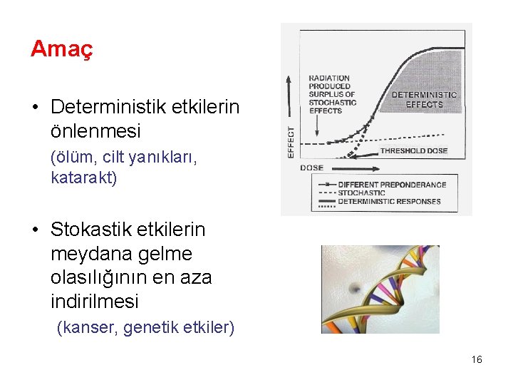 Amaç • Deterministik etkilerin önlenmesi (ölüm, cilt yanıkları, katarakt) • Stokastik etkilerin meydana gelme