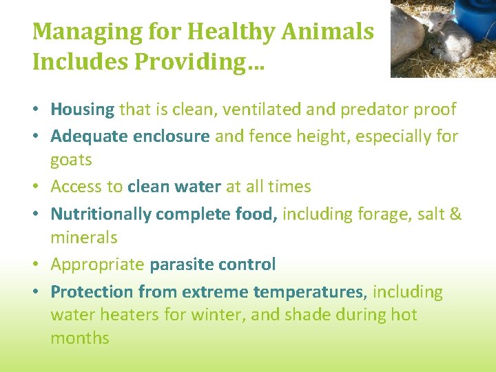 Managing for Healthy Animals Includes Providing… • Housing that is clean, ventilated and predator