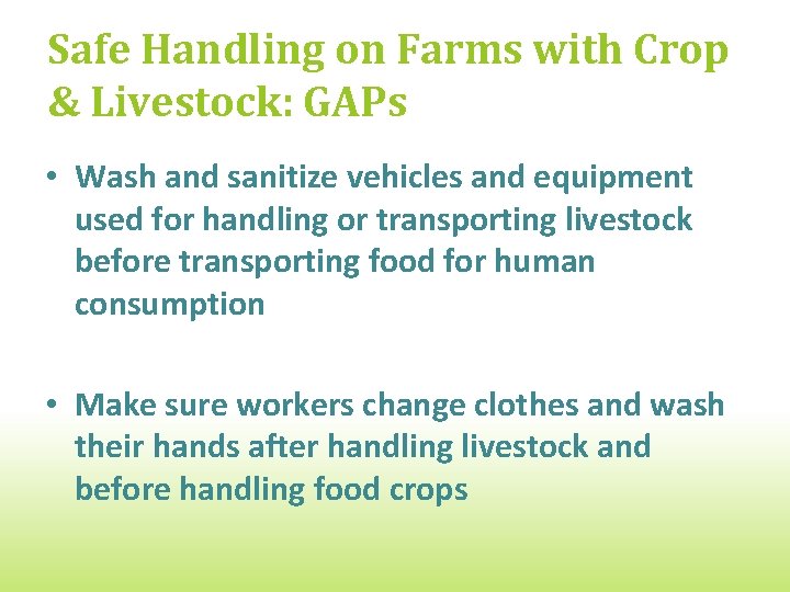 Safe Handling on Farms with Crop & Livestock: GAPs • Wash and sanitize vehicles