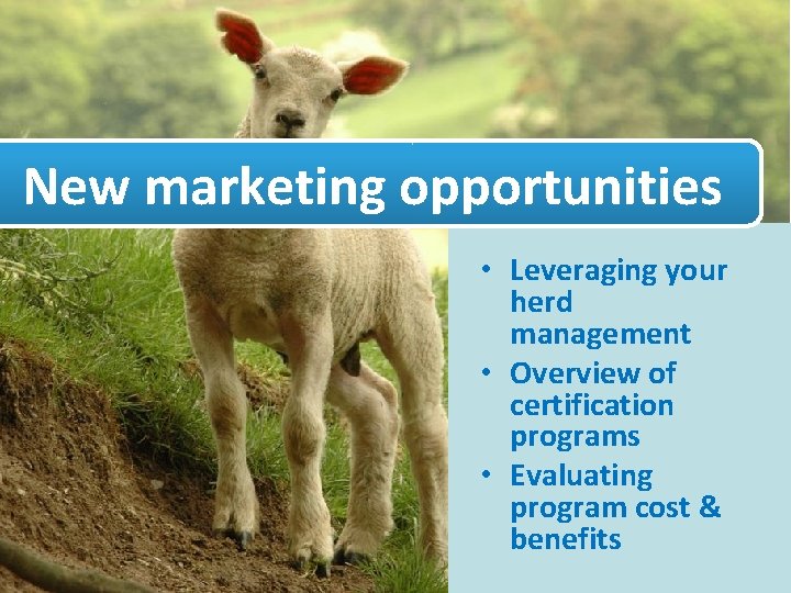 New marketing opportunities • Leveraging your herd management • Overview of certification programs •