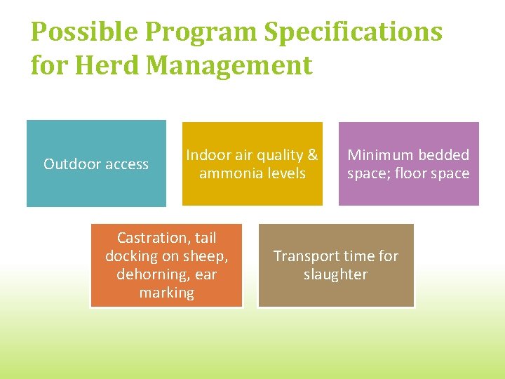 Possible Program Specifications for Herd Management Outdoor access Indoor air quality & ammonia levels