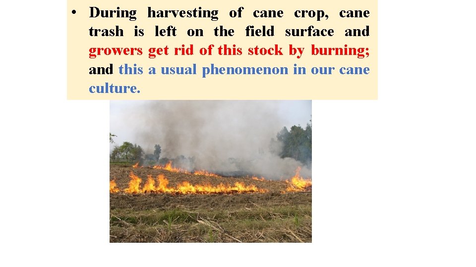  • During harvesting of cane crop, cane trash is left on the field