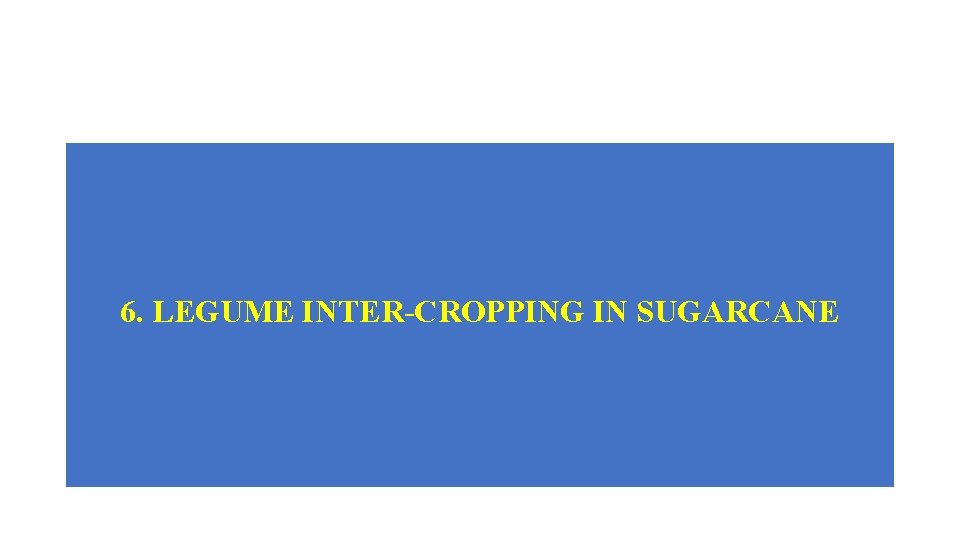 6. LEGUME INTER-CROPPING IN SUGARCANE 