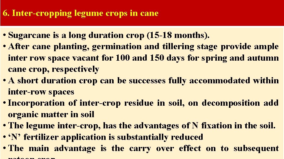 6. Inter-cropping legume crops in cane • Sugarcane is a long duration crop (15