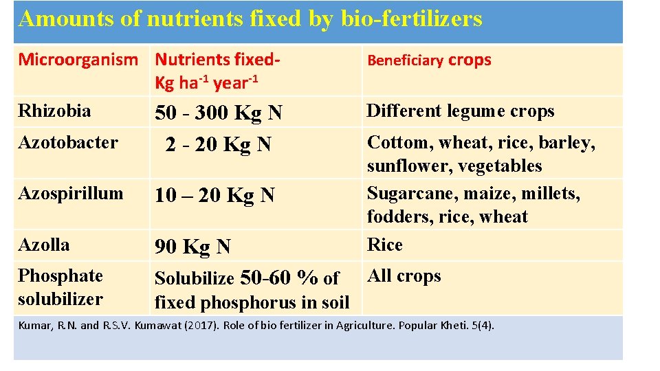 Amounts of nutrients fixed by bio-fertilizers Microorganism Nutrients fixed. Kg ha-1 year-1 Rhizobia 50