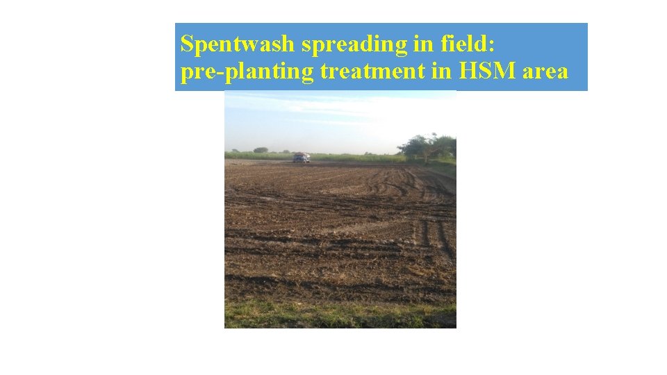 Spentwash spreading in field: pre-planting treatment in HSM area 