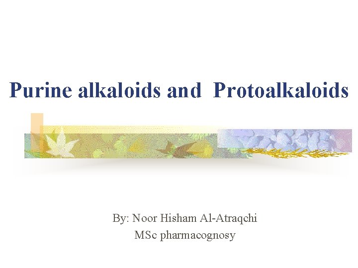 Purine alkaloids and Protoalkaloids By: Noor Hisham Al-Atraqchi MSc pharmacognosy 