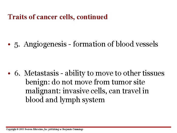 Traits of cancer cells, continued • 5. Angiogenesis - formation of blood vessels •
