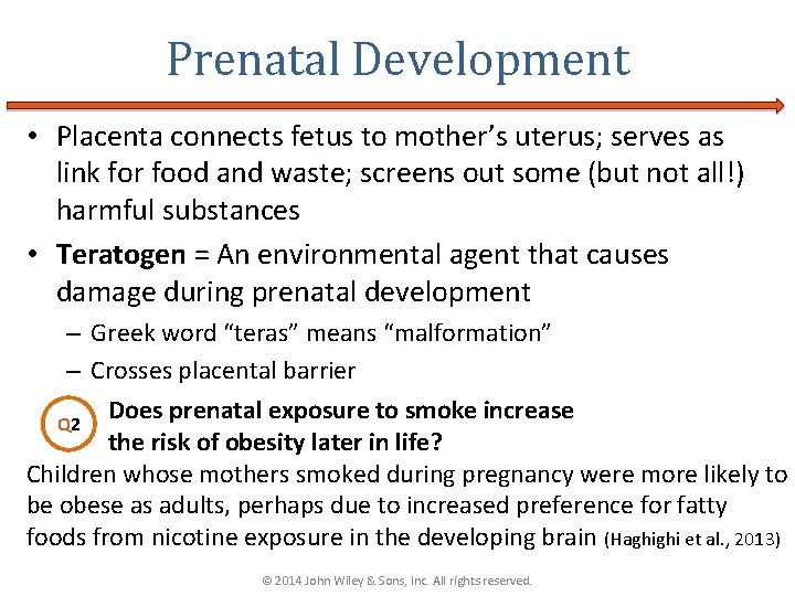 Prenatal Development • Placenta connects fetus to mother’s uterus; serves as link for food