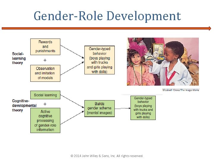 Gender-Role Development © 2014 John Wiley & Sons, Inc. All rights reserved. 