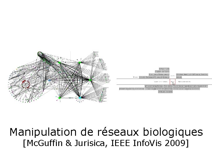 Manipulation de réseaux biologiques [Mc. Guffin & Jurisica, IEEE Info. Vis 2009] 