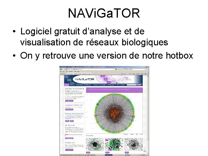 NAVi. Ga. TOR • Logiciel gratuit d’analyse et de visualisation de réseaux biologiques •