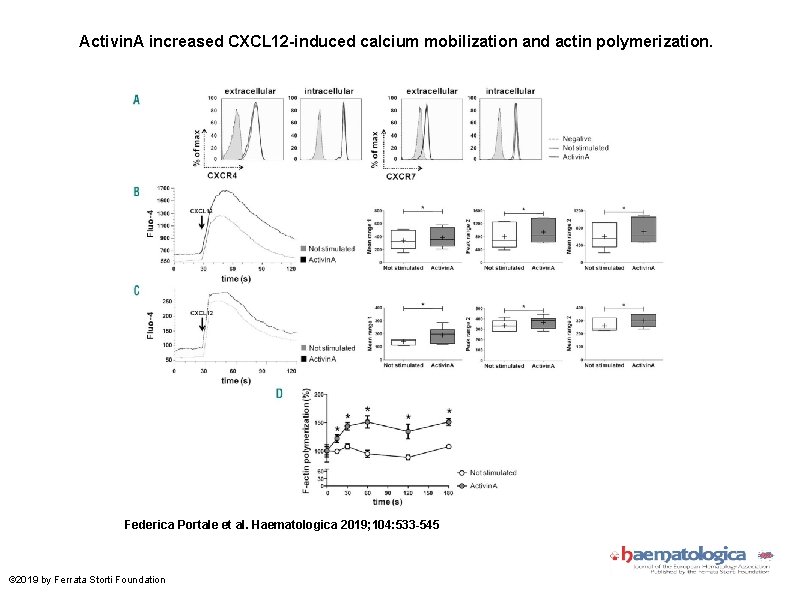 Activin. A increased CXCL 12 -induced calcium mobilization and actin polymerization. Federica Portale et