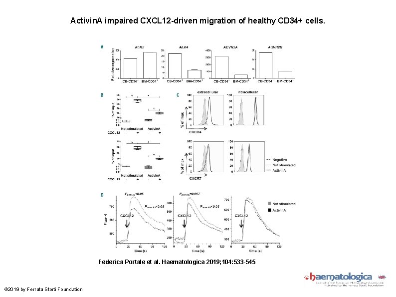 Activin. A impaired CXCL 12 -driven migration of healthy CD 34+ cells. Federica Portale