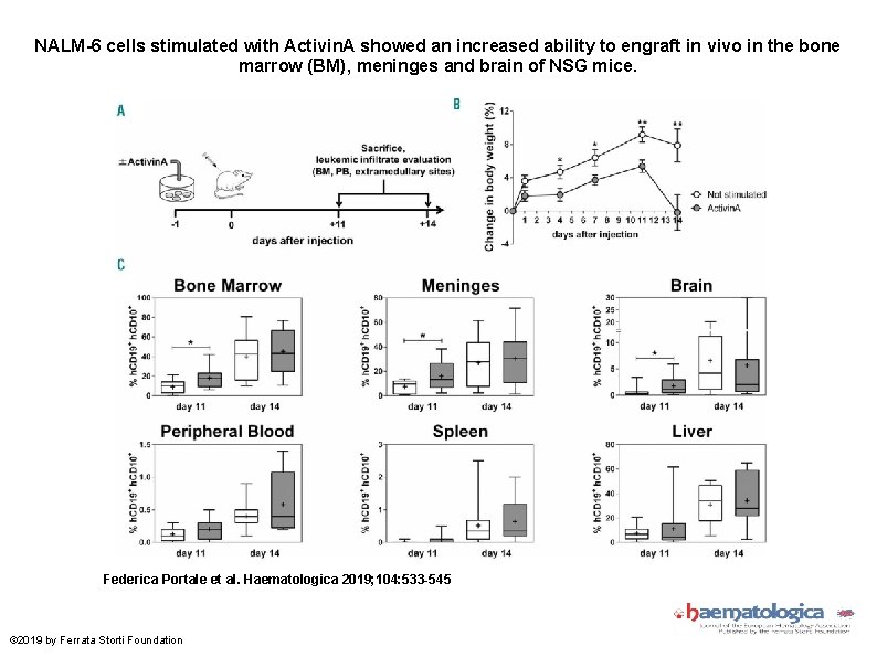 NALM-6 cells stimulated with Activin. A showed an increased ability to engraft in vivo