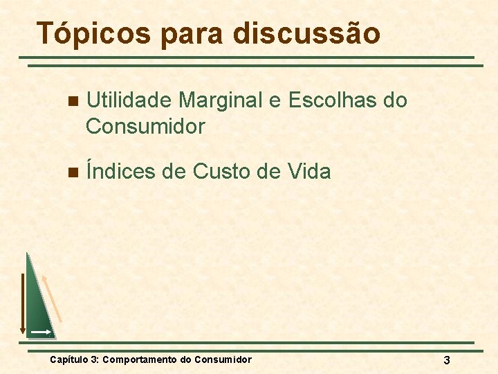 Tópicos para discussão n Utilidade Marginal e Escolhas do Consumidor n Índices de Custo