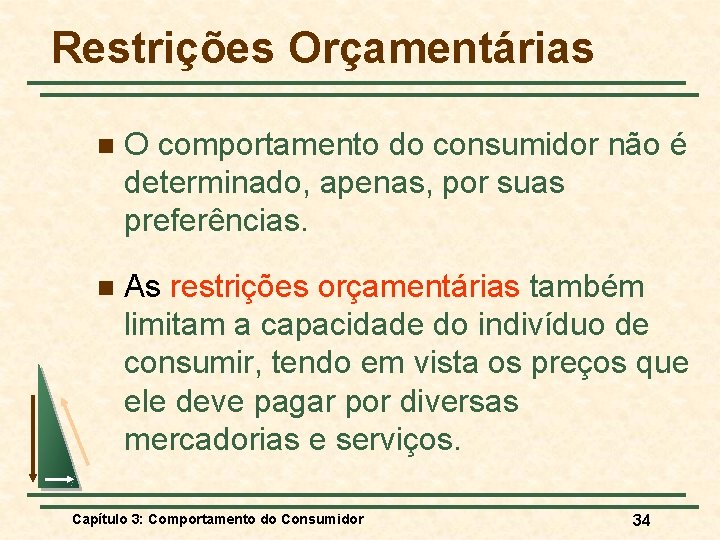 Restrições Orçamentárias n O comportamento do consumidor não é determinado, apenas, por suas preferências.