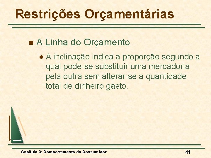 Restrições Orçamentárias n A Linha do Orçamento l A inclinação indica a proporção segundo