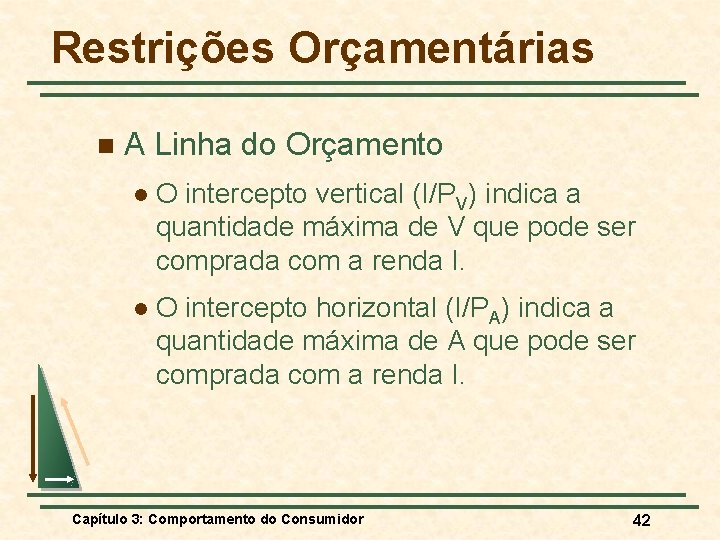 Restrições Orçamentárias n A Linha do Orçamento l O intercepto vertical (I/PV) indica a