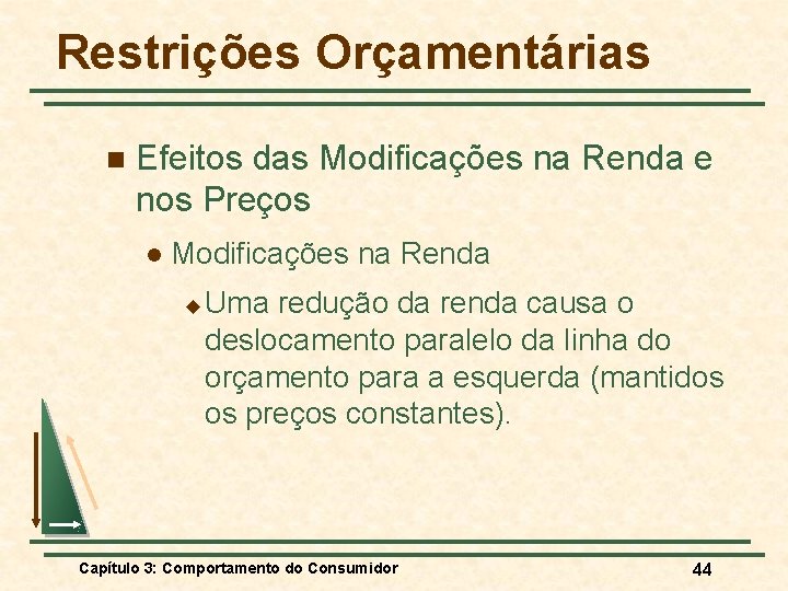 Restrições Orçamentárias n Efeitos das Modificações na Renda e nos Preços l Modificações na