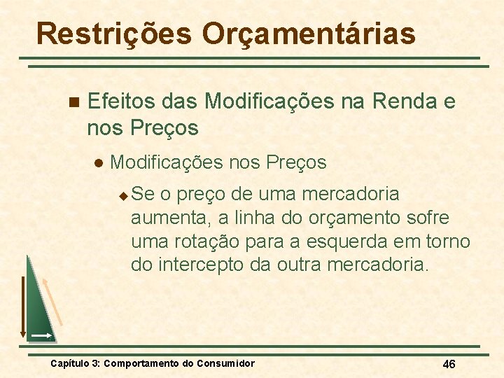 Restrições Orçamentárias n Efeitos das Modificações na Renda e nos Preços l Modificações nos