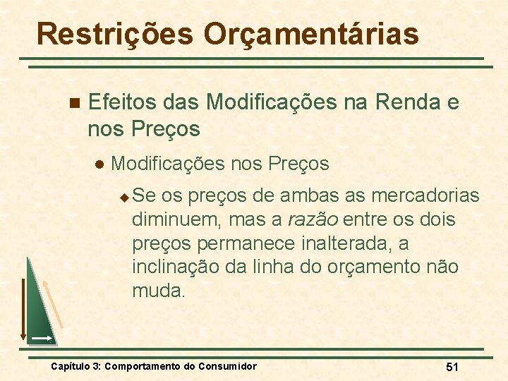 Restrições Orçamentárias n Efeitos das Modificações na Renda e nos Preços l Modificações nos
