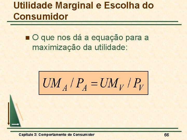 Utilidade Marginal e Escolha do Consumidor n O que nos dá a equação para