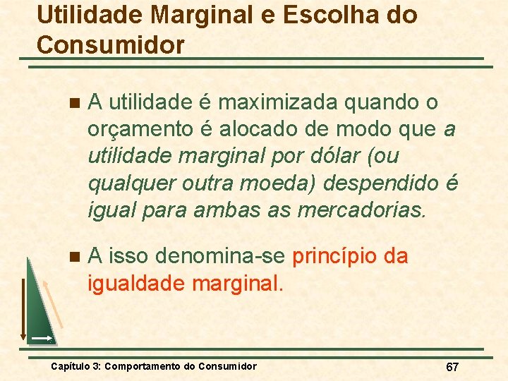 Utilidade Marginal e Escolha do Consumidor n A utilidade é maximizada quando o orçamento