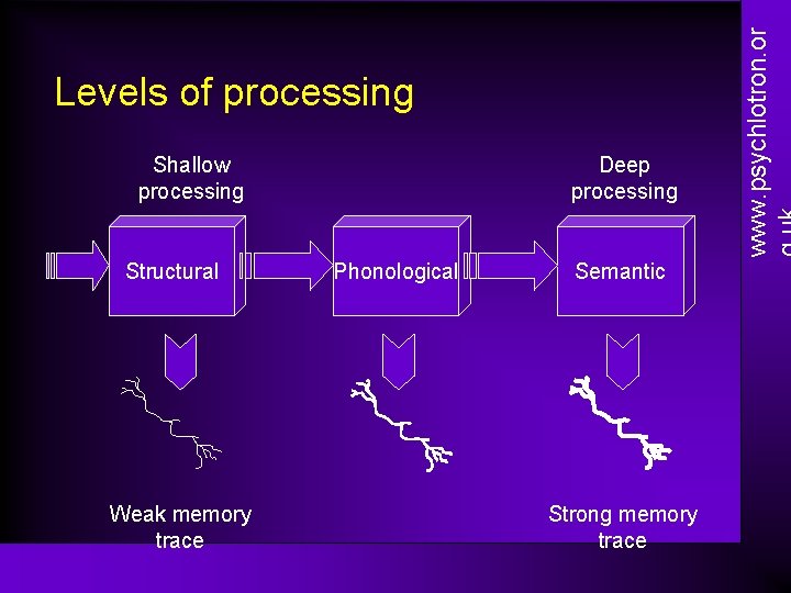 Shallow processing Structural Weak memory trace Deep processing Phonological Semantic Strong memory trace www.