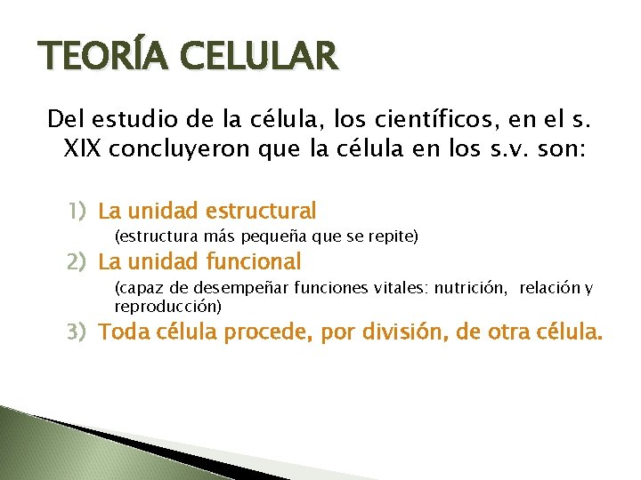 TEORÍA CELULAR Del estudio de la célula, los científicos, en el s. XIX concluyeron