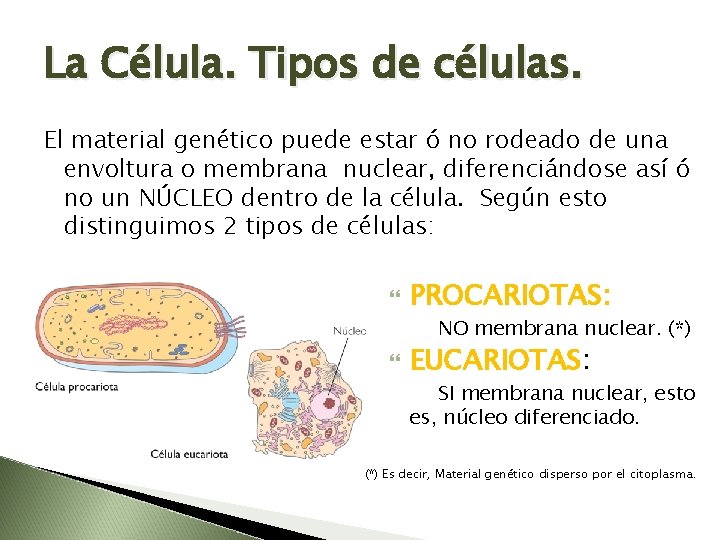 La Célula. Tipos de células. El material genético puede estar ó no rodeado de