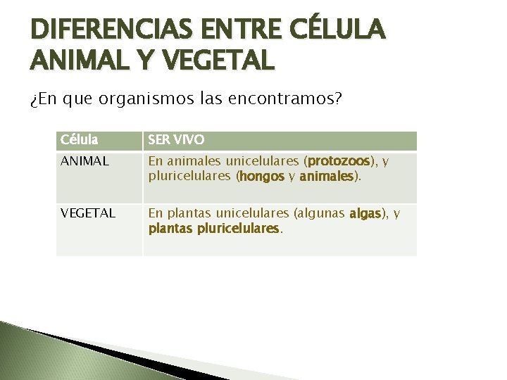 DIFERENCIAS ENTRE CÉLULA ANIMAL Y VEGETAL ¿En que organismos las encontramos? Célula SER VIVO