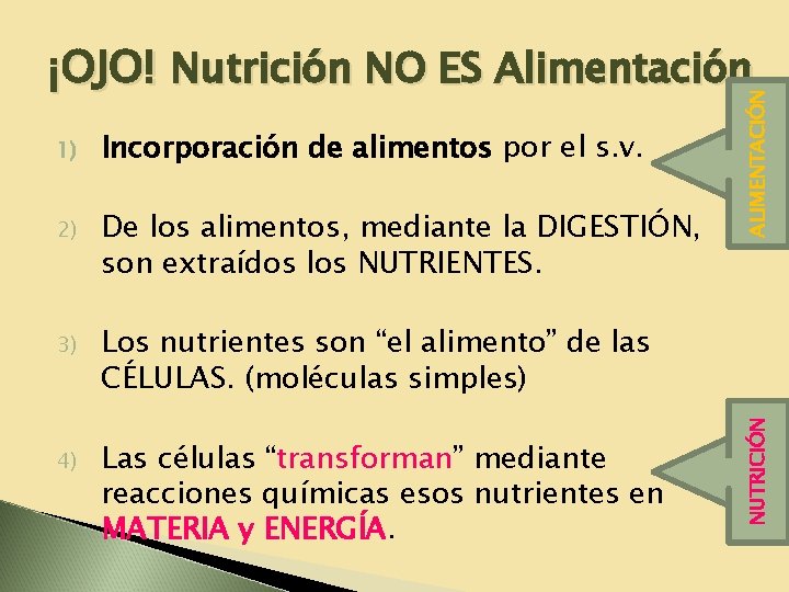 Incorporación de alimentos por el s. v. 2) De los alimentos, mediante la DIGESTIÓN,