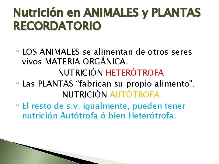 Nutrición en ANIMALES y PLANTAS RECORDATORIO LOS ANIMALES se alimentan de otros seres vivos